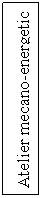 Text Box: Atelier mecano-energetic