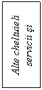 Text Box: Alte cheltuieli servicii si 