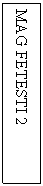 Text Box: MAG FETESTI 2
