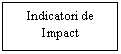 Text Box: Indicatori de Impact 