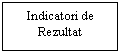 Text Box: Indicatori de Rezultat