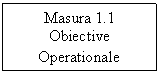 Text Box: Masura 1.1
Obiective Operationale 
