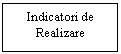 Text Box: Indicatori de Realizare