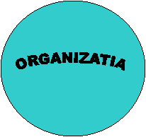 ORGANIZATIA