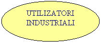 Oval: UTILIZATORI
INDUSTRIALI
