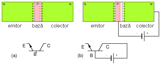 (a) tranzistor bipolar cu jonctiune NPN; (b) polarizarea inversa a jonctiunii baza-colector