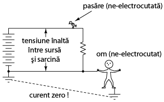 persoana nu este electrocutata in cazul in care firul atins este conectat la impamantare