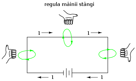 regula mainii stangi