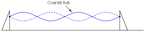 vibratia coardei fixe