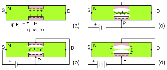 canalul tranzistorului cu efect de camp cu jonctiune (JFET): (a) zona de golire a portii; (b) cresterea zonei de golire la polarizarea inversa; (c) zona de golire creste tot mai mult cu cresterea tensiunii de polarizare inversa; (d) blocarea canalului sursa-drena (S-D) datorita cresterii tensiunii de polarizare inversa 