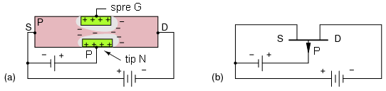 tranzistor cu efect de camp cu canal de tip P: (a) tensiunile surselor de alimentare sunt inversata fata de tranzistorul cu canal de tip N; (b) simbolul schematic - directia sagetii portii este inversata