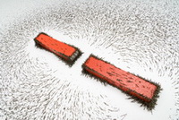 campul magnetic dintre doi magneti permanenti vizibil cu ajutorul piliturii de fier