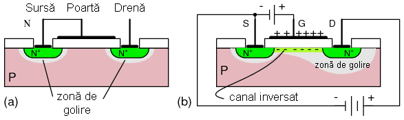 MOSFET cu canal N: (a) poarta nepolarizata; (b) polarizarea directa a portii