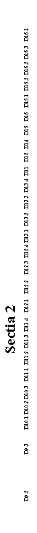 Text Box:                                                                              Sectia 2 
                     D9.2                          D9.3          D10.1 D10.2 D10.3   D11.1  D11.2  D11.3  D11.4    D12.1    D12.2    D12.3  D12.4 D13.1  D13.2   D13.3  D13.4  D11   D12   D14   D15   D16   D15.1  D15.2  D16.2  D16.3   D16.1   
