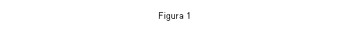 Text Box: Figura 3