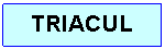 Text Box: TRIACUL