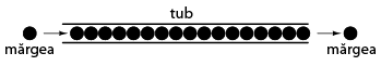 analogia tubului umplut cu margele