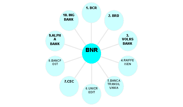 Radial Diagram