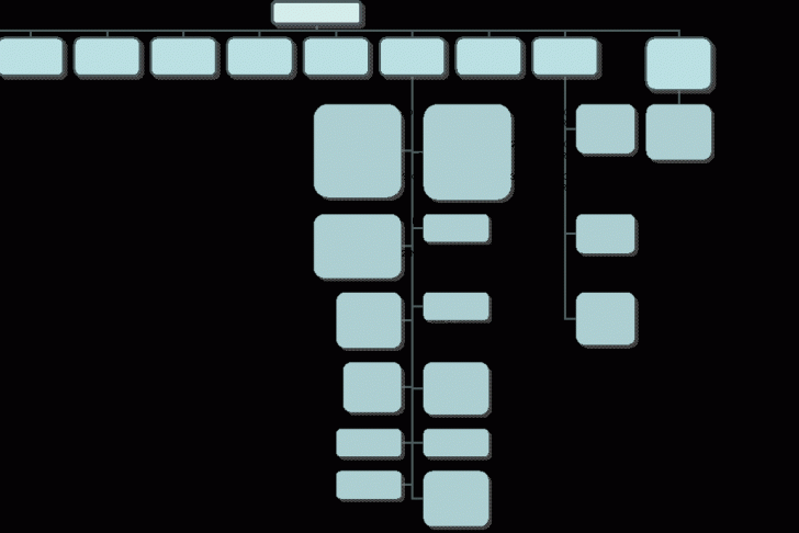 Organization Chart