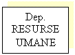 Text Box: Dep. RESURSE UMANE