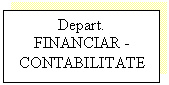 Text Box: Depart. FINANCIAR - CONTABILITATE