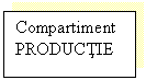 Text Box: Compartiment PRODUCTIE