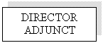 Text Box: DIRECTOR ADJUNCT