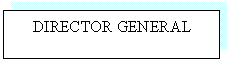 Text Box: DIRECTOR GENERAL