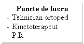 Text Box: Puncte de lucru  
-	Tehnician ortoped
-	Kinetoterapeut
-	P.R.

