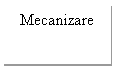 Text Box: Mecanizare