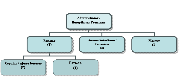 Organization Chart