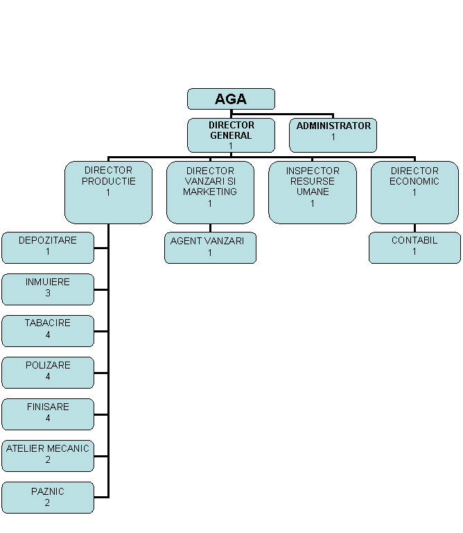 Organization Chart