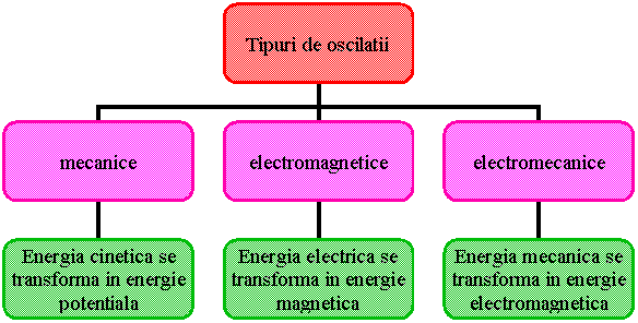 Organization Chart