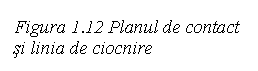 Text Box: Figura 1.12 Planul de contact si linia de ciocnire