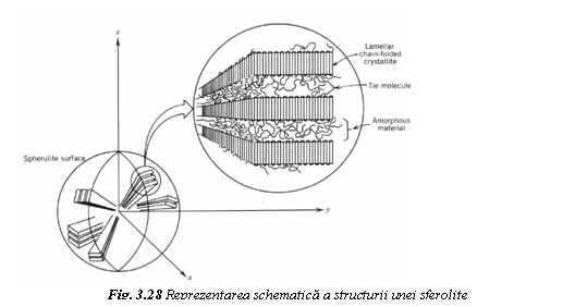 Text Box: 
Fig. 3.28 Reprezentarea schematica a structurii unei sferolite
