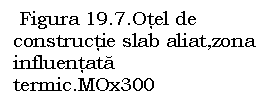 Text Box:  Figura 19.7.Otel de constructie slab aliat,zona influentata termic.MOx300