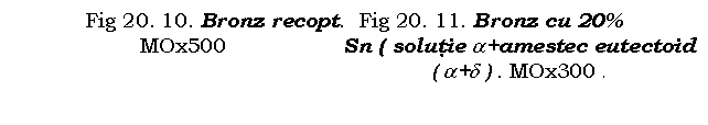 Text Box: Fig 20. 10. Bronz recopt. Fig 20. 11. Bronz cu 20%
 MOx500 Sn ( solutie a+amestec eutectoid
 ( a+d ) . MOx300 .
 

