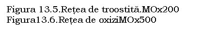 Text Box: Figura 13.5.Retea de troostita.MOx200 Figura13.6.Retea de oxiziMOx500