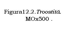 Text Box:         Figura12.2.Troostita.
            MOx500 .
