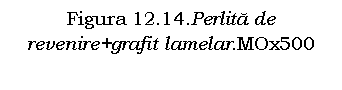 Text Box: Figura 12.14.Perlita de revenire+grafit lamelar.MOx500