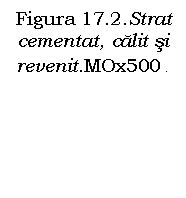 Text Box: Figura 17.2.Strat cementat, calit si revenit.MOx500 .