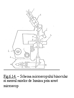 Text Box:  

Fig.6.14. - Schema microscopului binocular si mersul razelor de lumina prin acest microscop
