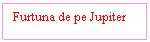 Text Box: Furtuna de pe Jupiter