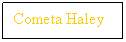 Text Box: Cometa Haley