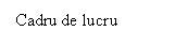 Text Box: Cadru de lucru