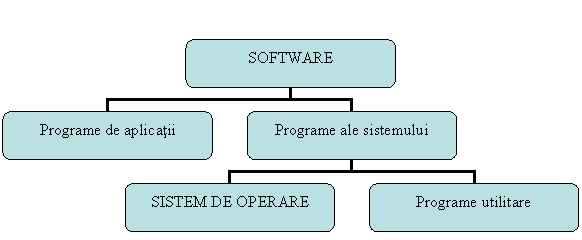 Organization Chart