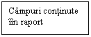 Text Box: Campuri continute iin raport