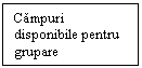 Text Box: Campuri disponibile pentru grupare