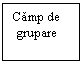 Text Box: Camp de
 grupare
