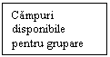 Text Box: Campuri disponibile pentru grupare